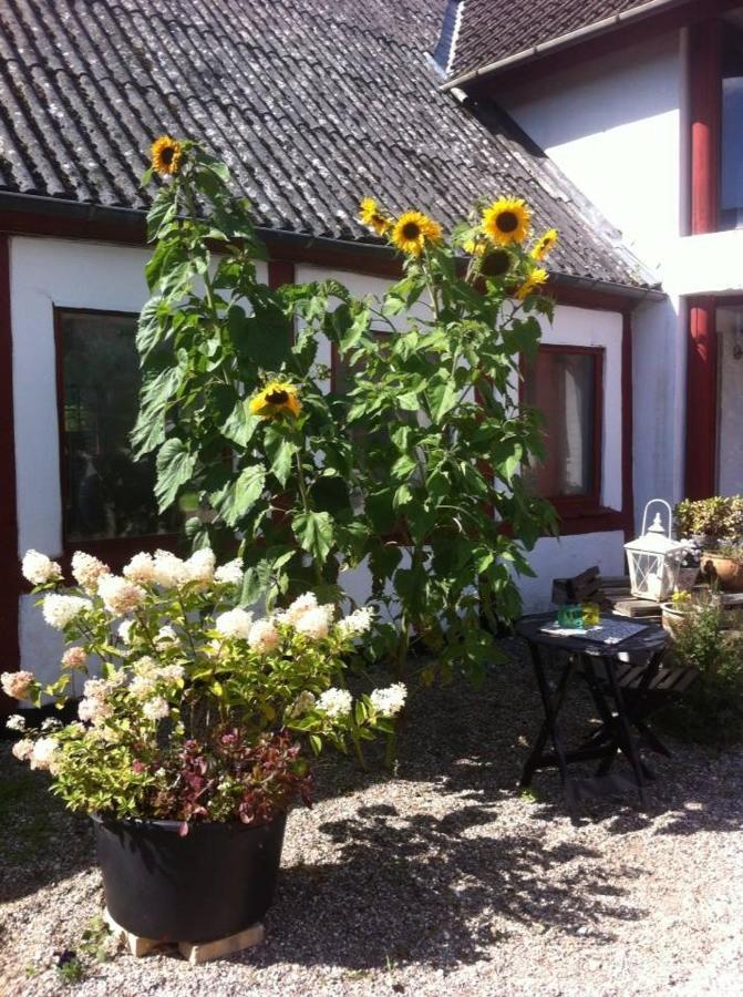 Praestogaard Bed & Breakfast エクステリア 写真